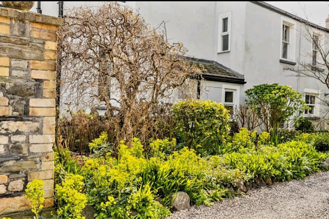 The Mews - Less Than 1Km To City Centre - Stadium - Castle - 10 Min Walk Cardiff Exterior photo
